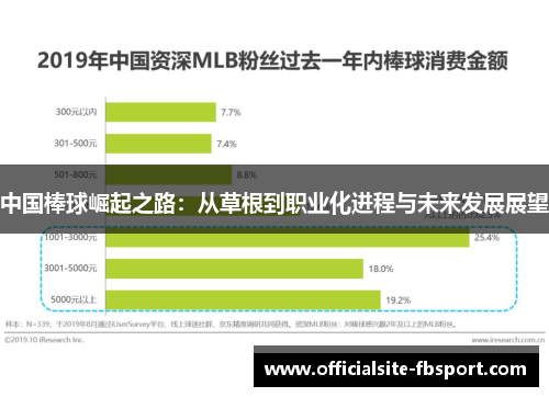 中国棒球崛起之路：从草根到职业化进程与未来发展展望